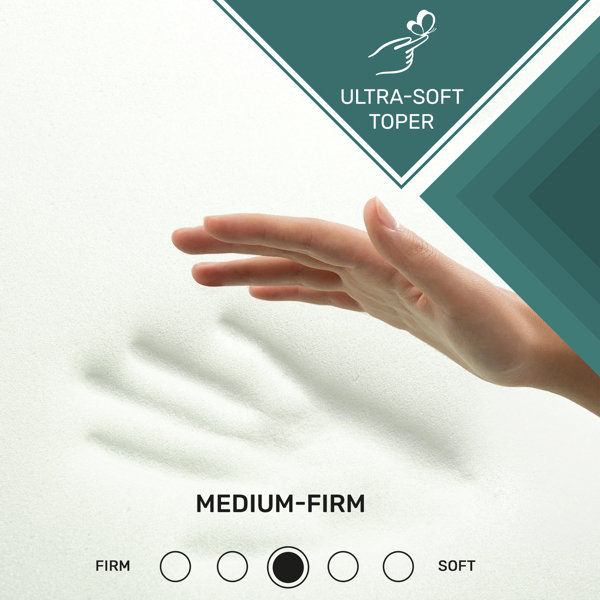 Alwyn Home Areli 2" Firm Foam Bedding Mattress Topper for Comfortable